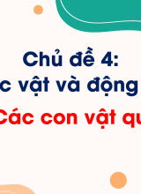 Chủ đề 4. Bài 11. Các con vật quanh em
